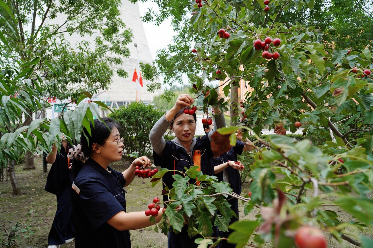 首页| 尊龙集团中国官方网站